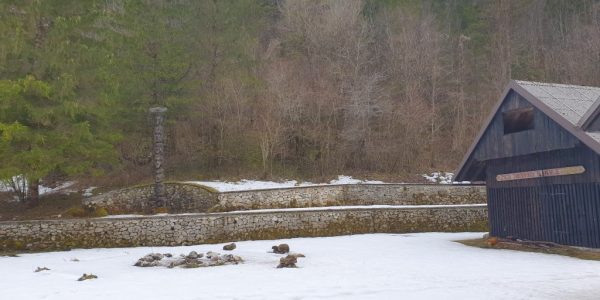 20210221_133255 (Medium)