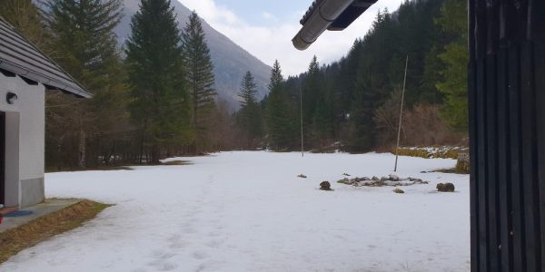 20210221_133320 (Medium)